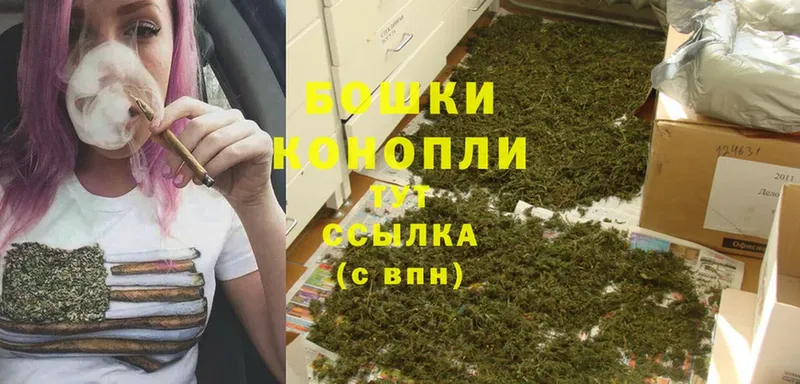 Бошки Шишки VHQ  Прокопьевск 